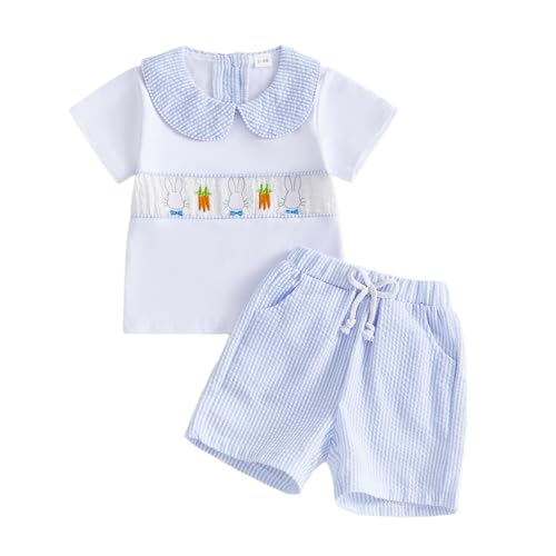 Xiaodriceee Toddler Baby Boy Easter Outfit Carrot Rabbit Embroidery Short Sleeve T Shirt Shorts Set...