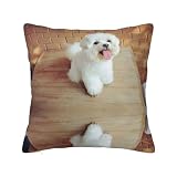 Federa per cuscino con cerniera nascosta, motivo cane maltese, federe per cuscino in poliestere, federa decorativa con stampa fronte-retro