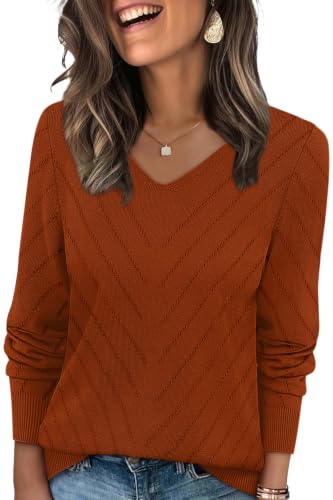 Image of WIHOLL Sweaters for Women V Neck Casual Knit Long Sleeve Tops Lightweight Pullover Clothes Fall Fashion Outfits 2026