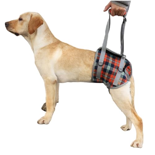 YYKSYDPT 犬用歩行補助ハーネス 後ろ足サポート 介護用ハーネス 高齢 怪我をしたペット 障害のあるペットに最適 ウォーカー (後脚はオレンジ, L)