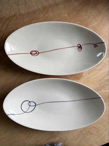 SinZan Thin Zan Plate Dish Oval Plate Oval Plate Set of 2