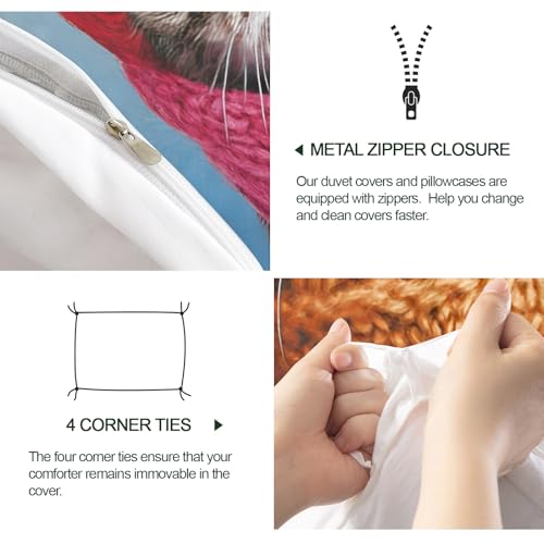 Parure de lit en microfibre 1 place housse de couette chat 135x200 - 7