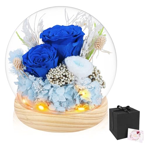 Fleurs fraîches préservées sous dôme en verre et guirlande lumineuse LED
