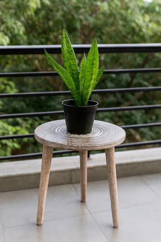 Image of Three-Legged Wood Table A Contemporary Round Coffee Table and Side Table with Pillars for Natural Plants, Books, and Magazines in Compact Spaces (Natural)