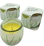 【DECORACIÓN DEL HOGAR Y REGALO PARA EL VERANO】vaso de cristal, esta vela perfumada es un llamativo accesorio para el hogar, y un regalo portátil ideal para tu madre, tu pareja, tu familia y tus amigos.