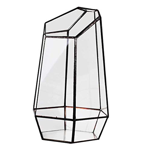 Vase hexagonal en verre pour micro paysage et terrarium de plantes