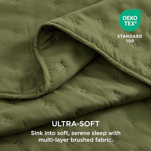 image for Bedsure Quilts Queen Size - Ultra Soft Queen Quilt Bedding Set for Mod