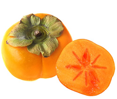 Y` 낤 3.75kg 8`16 ÉEmYS Ki JAi d߂̉ʓɔZȊÂ݁Ixۏ