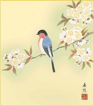 Amazon.co.jp: 四季絵色紙4枚セット-花鳥四趣（新絹本）SIK-001