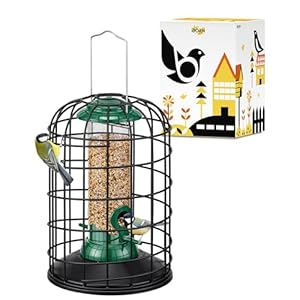 iBorn Squirrel Proof Bird Feeder with Squirrel, Pestoff Hanging Wild Bird Seed Feeder for Mix Seed Blends, Sunflower Heart, Birdbath, Heavy Duty All Metal Anti-UV Finishing, Green 8 Inch