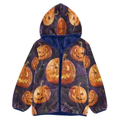 Halloween Pumpkins Spiders Birds Purple Toddler Fleece Jacket Girl Boys Hooded Fleece Jacket