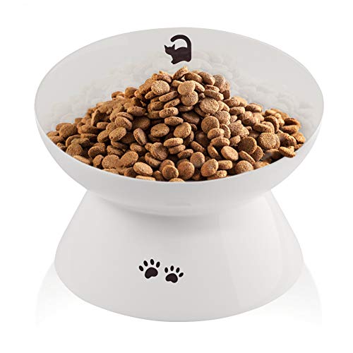 Best Ceramic Cat Bowls and Cat Dish Bowls for Water & Food Reviews