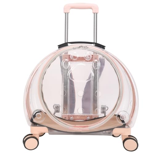 AOUTNybg g[P[X ybgobO L[bN  ʋC ^ѕ֗ ybgpi (sNA)