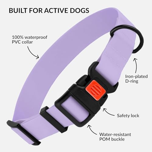 CollarDirect Wasserdichtes Hundehalsband Verstellbar – Silikon & Kunststoff, Geruchsresistent, Leicht zu Reinigen, Sicherheitsverschluss – für kleine, mittlere & große Hunde (Lila, S (25-33 cm))