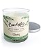 Eucalyptus Leaf Scented Natural Soy Candle, Essential Fragrance Oils, 100% Soy, Phthalate & Paraben Free, Clean Burning, 9 Oz.