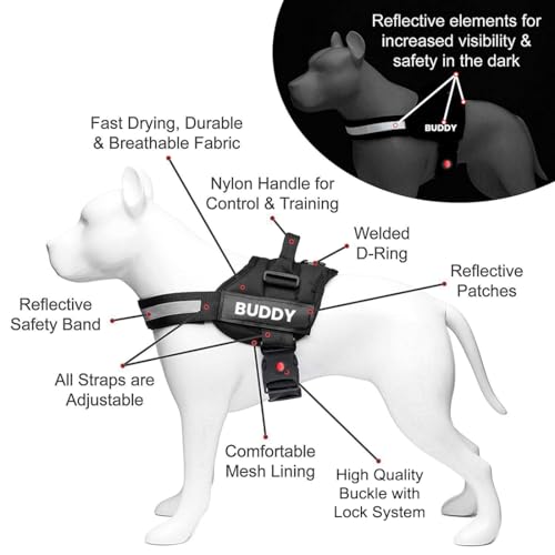 Image of Blue Dog Vest Harness with Leash - No Pull, Reflective & Adjustable