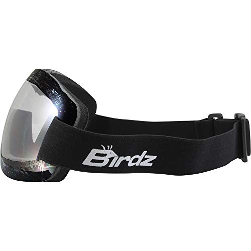 Birdz Eyewear Starling Skydiving Motorcycle Goggles Frameless 2 Pairs Clear & Smoke Lenses #TOP3