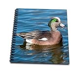 12 x 12 inches spiral bound glossy hard covered 1 inch twin loop wire binding spine 35 unlined pages, 11.4 x 11.2 inches - page thickness is 63lb cover Acid free blank bright white non-coated paper Pages lay flat when book is opened