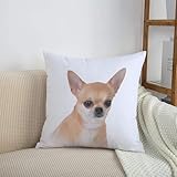 Dimensiones de las fundas de almohada: 50 x 50 cm (1-2 cm de desviación). Asegúrate de que tu almohada es adecuada para este tamaño.