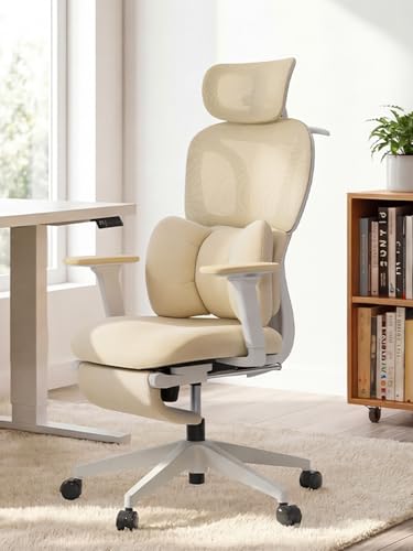 CabLady S1 Ergonomic Home Desk Chair with Footrest and...