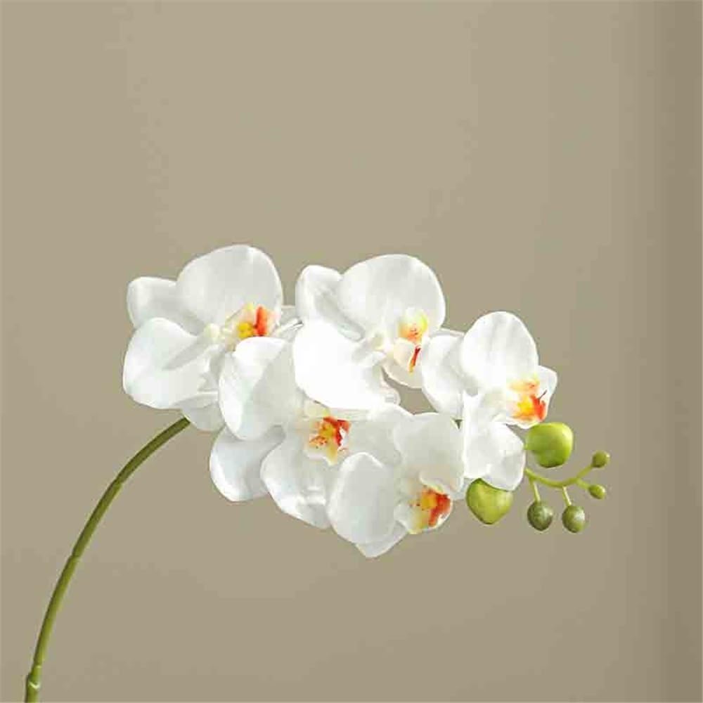 Party Einzelne Phalaenopsis-Simulationsblumen Gefälschte Blumen Wohnzimmeranordnung Dekorative Garten