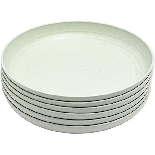 Juvale Wheat Straw Plates, Unbreakable Plate (Green, 9 In, 6 Pack) #TOP5