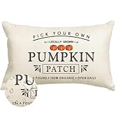 RABUSOFA Fall Pillow Covers 12x20 Inch Outdoor Waterproof Thanksgiving Autumn Pumpkin Patch Quote...