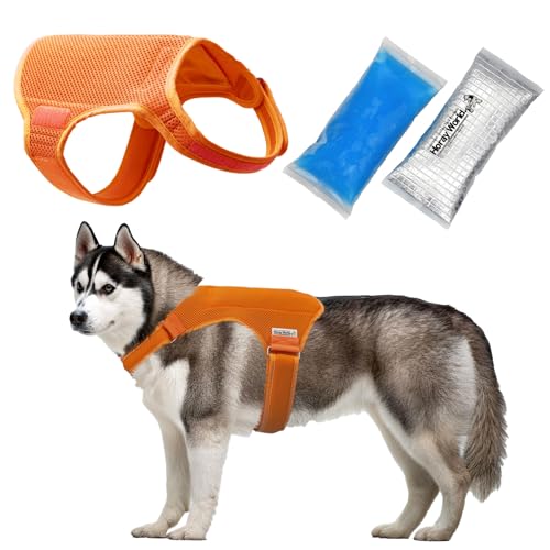 Horay World Cooling Vest for Dogs - Dog Cooling Vest with Innovative Cooling Packs (L, Orange)