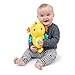 Baby Einstein Sea Dreams Seahorse Plush Soother Toy, with Music and Lights, Ages 0 Months and Up, Yellow