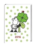 sheepworld 17-Monats-Kalenderbuch A6 2016: 17 Monate. Von August 2015 bis Dezember 2016.