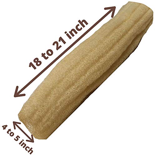 One Whole Egyptian Loofah 100% Natural SPA Beauty Bath Sponge Body Scrubber Puff. Premium Quality Lofa Loofa Luffa Loffa for exfoliating Your Skin.
