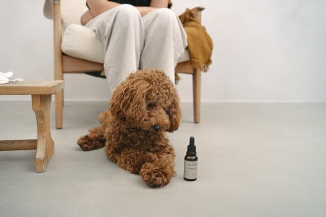 Augenpflege für Hunde – sanfte Reinigung, beruhigt und regeneriert, löst Verkrustungen und Schmutz, spendet Feuchtigkeit, mit Kühleffekt, AUGENPFLEGE von LILA LOVES IT, 30 ml