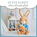 Beatrix Potter Peter Rabbit Plush with Carrot, 13 Inch Soft Stuffed Animal, Classic Peter Rabbit Toy for Babies, Toddlers, and Collectors