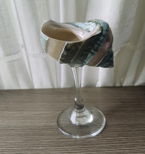 DOCLY&WOPL Handmade Natural Green Conch Shell Martini Glass Natural Sea
