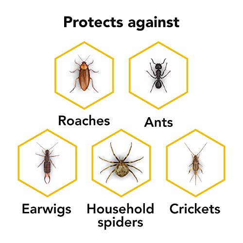 Raid Ant & Roach Aerosol Bug Spray, Water-Based Formula Insecticide With No Greasy Residue, Kills On Contact, 17.5 Oz #TOP6