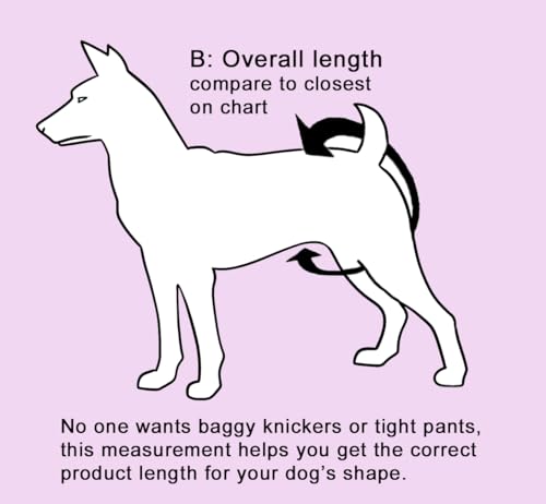 Glenndarcy Hundeschutzhöschen für läufige Hündinnen – alle Größen – optional waschbare Pads – Pink gepunktet