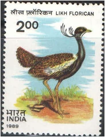 India 1989 Likh florican Postage Stamp Mint Unhinged