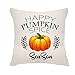 VEEMIZO Happy Pumpkin Gifts dynia samochód szczęśliwy boo dzień poszewki na poduszki boos dekoracje szczęśliwe Halloween poszewki na poduszki boo! Duch poszewka 45 x 45 cm (wesoła dynia przyprawa)