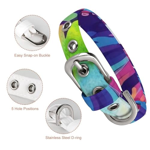 Collier coloré pour chien et chat avec design pieuvre unique