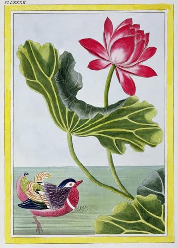 Impression d'affiches Toile Nénuphar Rouge Chinois Pierre Buchoz Art Portrait