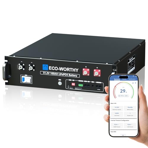 ECO-WORTHY LiFePO4 Batteria al litio 48 V 100 Ah Bluetooth