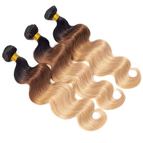 10A Ombre Brazilian Virgin Body Wave Human Hair 3 Bundles (T1B/30/27,14