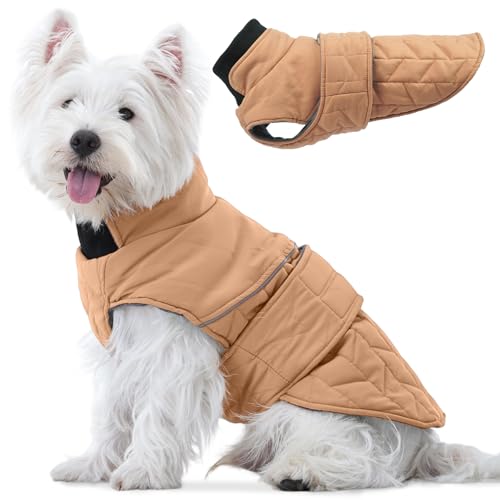 Lelepet ~p pR[g h h ̃EH[}[  WPbg  g EȒP ߉\ h H~  ȕ ^p Ȃ  _EWPbg ybg @ (J[L, XS)