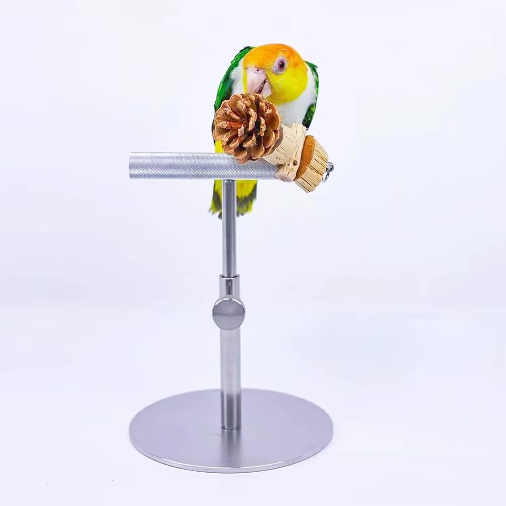 Soporte de Escritorio para Loros, Percha de Entrenamiento Totalmente Metálica para Aves