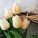 WeTop 30pcs Real Touch Tulips PU Artificial Flowers, Fake Tulips Flowers for Arrangement Wedding Party Easter Spring Home Dining Room Office Decoration (Champagne)
