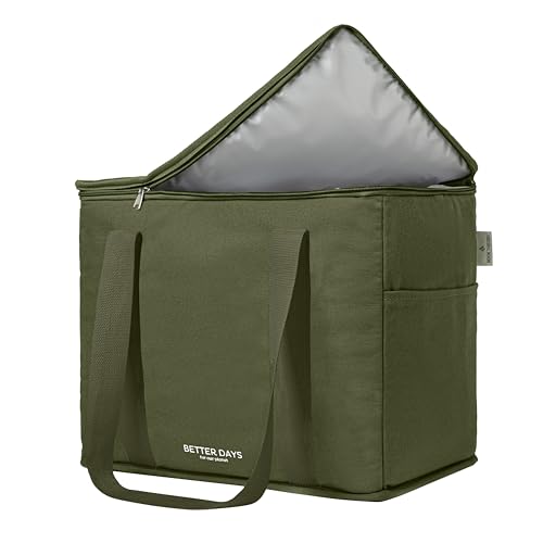 Nook Theory Reusable Insulated Bag