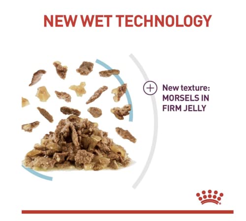 Royal Canin Sensory Feel Jelly | 12 x 85 g | Nassfutter für ausgewachsene Katzen | Stückchen in Gelee | Zur Anregung des Mundgefühls | Instinktiv bevorzugt