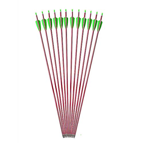 VOMI 12pack Tiro con Arco 31.7 Pulgadas Flechas de Aluminio Spine 500 Exterior Tiroteo Flecha Objetivo Prácticas Flecha Espiral Caza Arrows Cola de Flecha Ajustable para Arco Compuesto y Arco