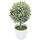 Décorations végétales artificielles : cadeaux idéaux pour la famille et les amis qui aiment les plantes mais n'ont pas le temps de les arroser, plantes artificielles d'intérieur