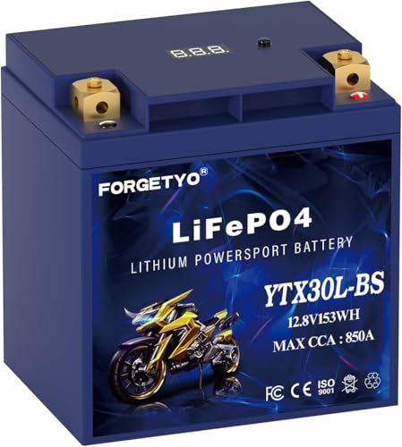 Image of Lithium Motorcycle Battery, Forgetyo YTX30L-BS LiFePO4 Battery, 12V 12AH 850A ATV, UTV, Jet Ski, 4 Wheeler and Lawn Mower Battery